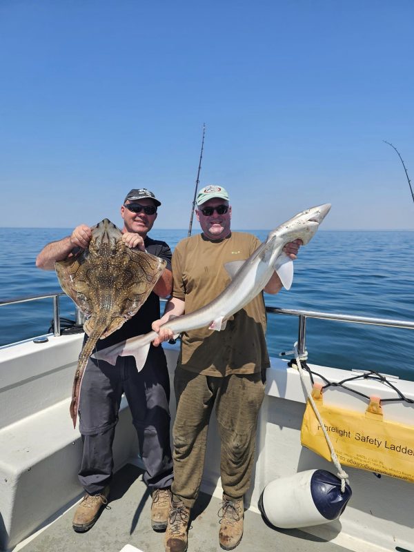 General Mixed Fish