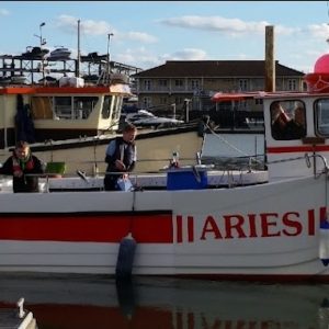 1/2 Day Full Boat