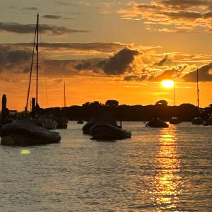 Evening Trip 5pm to 9pm