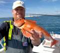 MiekBeautifalRedFish